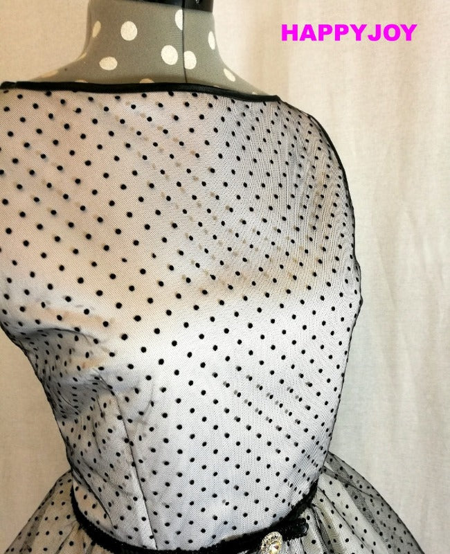 Dolly Polka & Roses Swing Dress